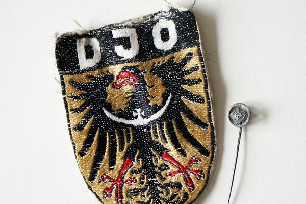 DJO Abzeichen und Nadel.jpg